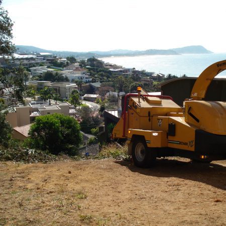 Chipper at top of slope - great view!