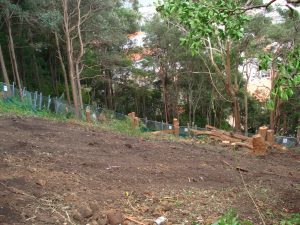 Last stages of land clear
