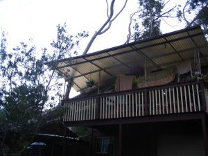 Large fallen gum over rear verandah