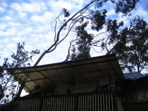 Pierced roof