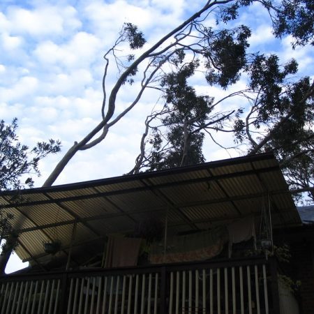 Pierced roof