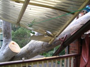 Section through verandah roof