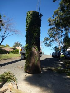 Ready to be loaded onto truck