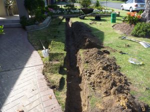 Protecting building & pathway from tree roots of tree to right
