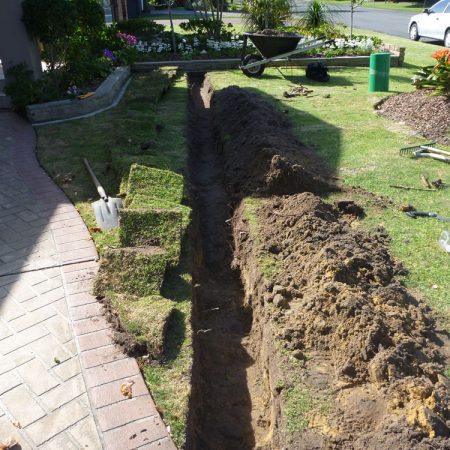 Protecting building & pathway from tree roots of tree to right