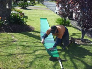 Preparing the root barrier