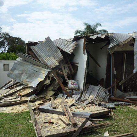 Tree has gone - time for a new shed!