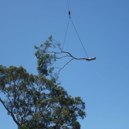 One of many lifts