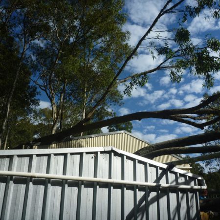 Fallen tree over large shed