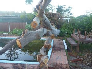 Roped up to stabilise