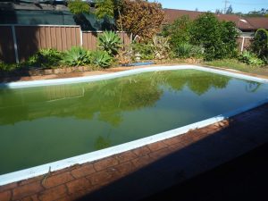 We've done our part - now it's time for the pool cleaner