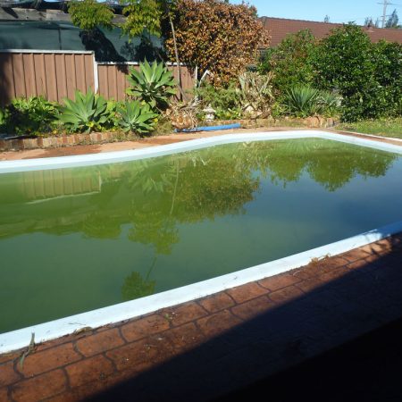 We've done our part - now it's time for the pool cleaner
