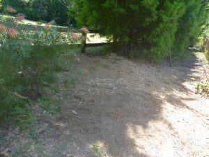 All cleaned up - can just see steel fence to right where the tree went through