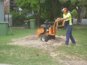 Grinding the stump after removal