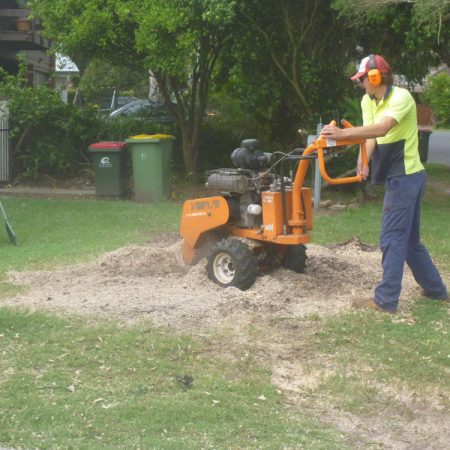 Grinding the stump after removal