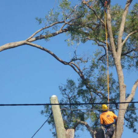 Working near power lines - nearly there