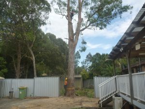 Getting ready - colourbond panel removed