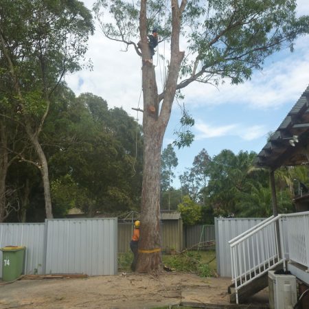 Getting ready - colourbond panel removed