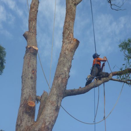 Rigging up