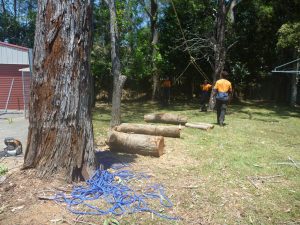 Gluts placed to protect lawn