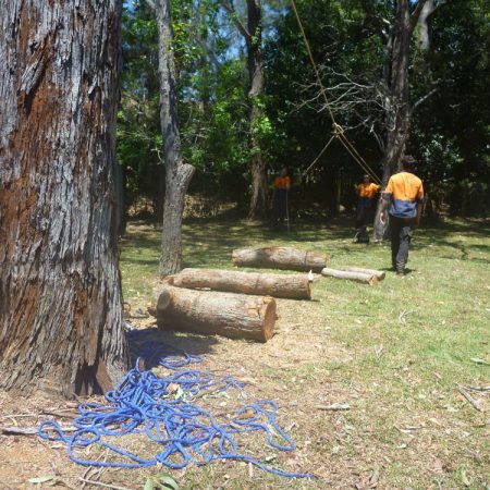 Gluts placed to protect lawn