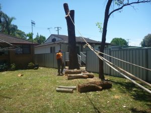 Three to one ratio rope setup to pull over barrel