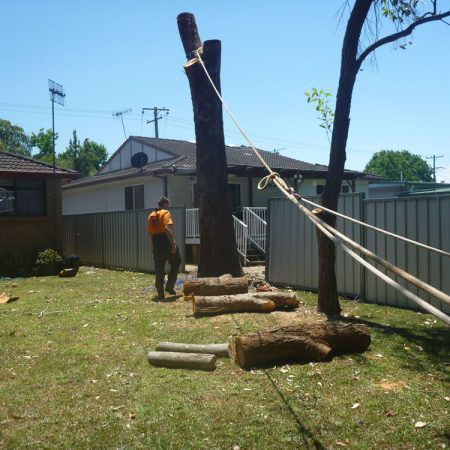 Three to one ratio rope setup to pull over barrel