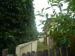Sideways view