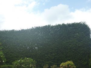 Completed with neat edges