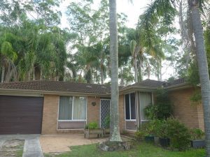 Palm city