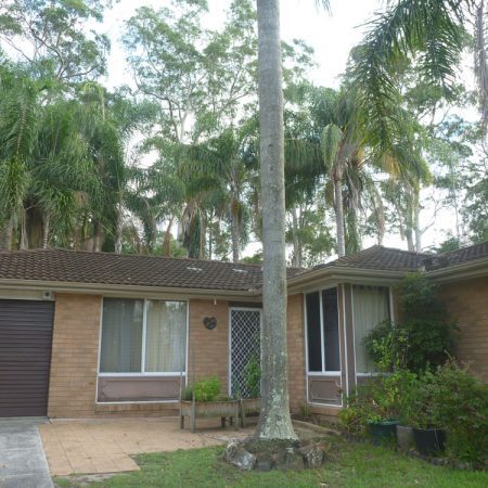 Palm city