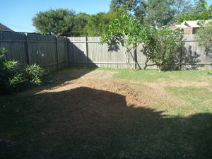 Stump grounded