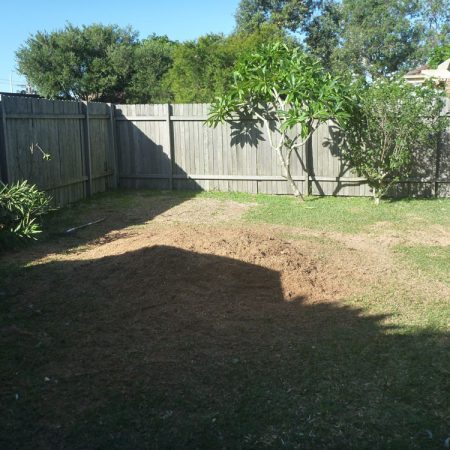 Stump grounded
