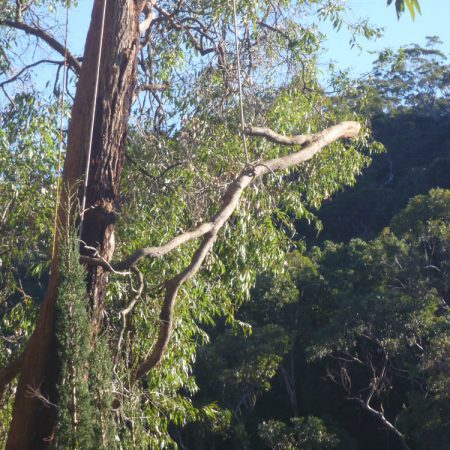 Lowering of branch